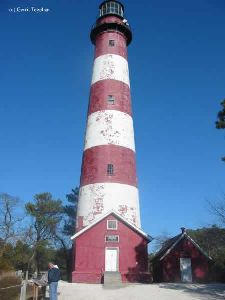 The tower.