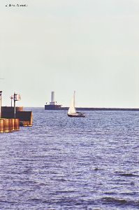 Sailboat out in Buffalo Harbor.