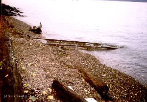Rails leading to the water.