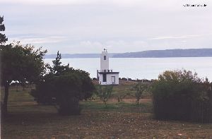 Lighthouse amongst trees.
