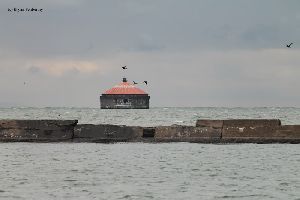 Birds fly by the Buffalo Intake Crib Lighthouse.