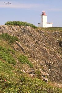 The rugged coastline.