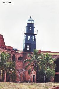 Lighthouse with palm trees from the courtyard.