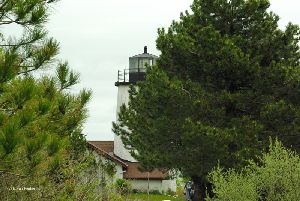 The lighthouse and trees.