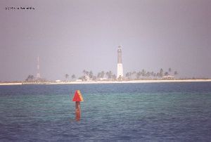 Lighthouse with palm trees around it.