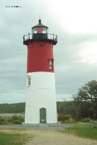 The tower.