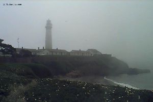 Thick fog surrounds the tower.