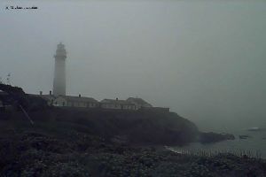 Fog blankets the coastline.