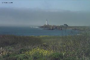 Pigeon Point lighthouse out on the peninsula.