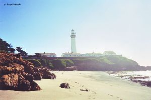 Beautiful shot of the tower from the beach.