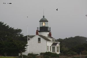 The Point Pinos light stands it