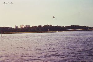 Lighthouse and factory in distance.