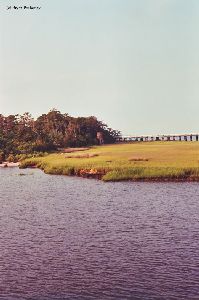 Lighthouse and grassy area.